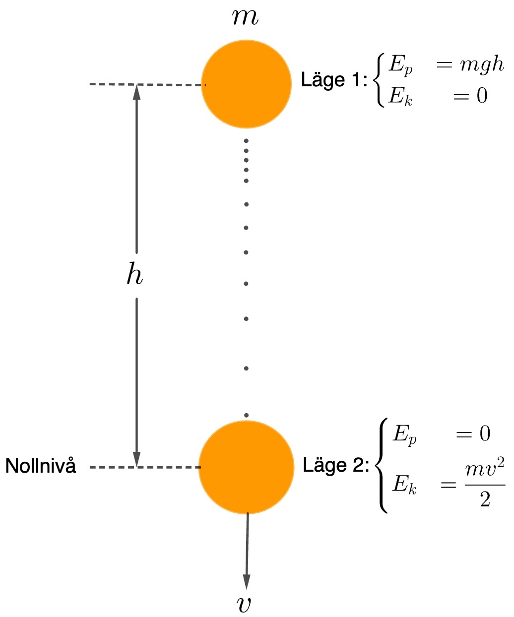 energiprincipen - en boll faller - fysik nivå 1&amp;2